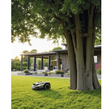 Moderner Mähroboter pflegt eine weitläufige Rasenfläche in einem hellen Garten neben einem großen Baum und einem Haus mit Holzfassade.