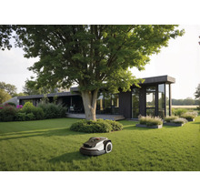 Mähroboter auf einer weiten Rasenfläche in einem Garten mit einem modernen dunklen Holzhaus und einem großen Baum.
