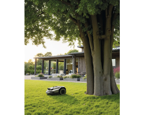 Moderner Mähroboter pflegt eine weitläufige Rasenfläche in einem hellen Garten neben einem großen Baum und einem Haus mit Holzfassade.
