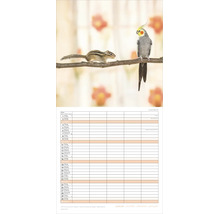 Wandkalender Jänner mit Motiv eines Streifenhörnchens und eines Nymphensittichs auf einem Ast über einem Terminplaner.
