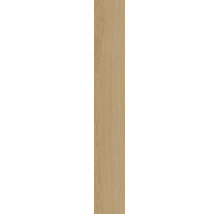 Eine einzelne Laminatdiele oder Parkettdiele mit Eichenoptik.