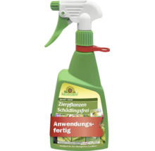 Grüne Sprühflasche Neudorff Spruzit Neem Zierpflanzen Schädlingsfrei, anwendungsfertiges Mittel geeignet für den ökologischen Landbau.