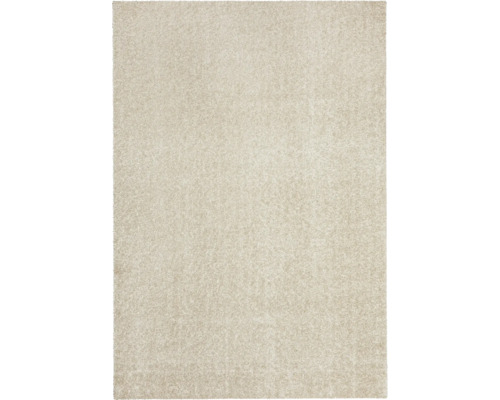 Rechteckiger Hochflor-Teppich mit weicher Oberfläche.