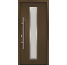 Haustür mit Glaseinsatz und Edelstahlgriff