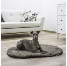 Ein grauer Hund liegt auf einer ovalen, gesteppten Hundematte in einem hellen Wohnzimmer mit weißem Sofa und Kommode.