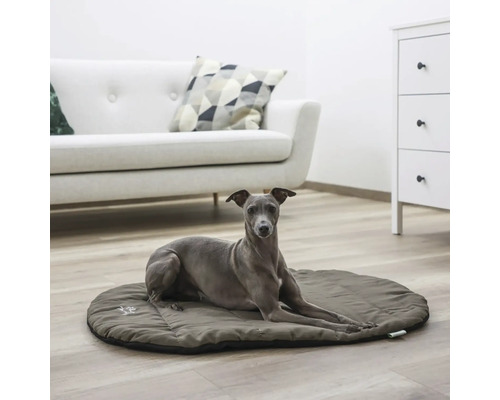 Ein grauer Hund liegt auf einer ovalen, gesteppten Hundematte in einem hellen Wohnzimmer mit weißem Sofa und Kommode.