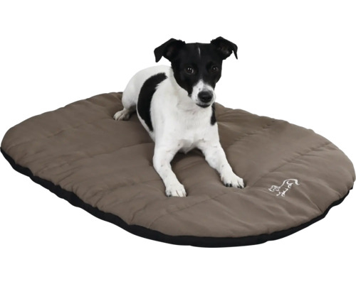 Gestepptes Hundekissen mit einem kleinen schwarz-weißen Hund darauf liegend.