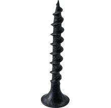 Schwarze Schnellbauschraube mit Trompetenkopf und Grobgewinde.