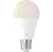 LED Leuchtmittel E27 mit Mesh Color Funktion, mattiertem Gehäuse und Metallsockel.