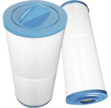Zwei zylindrische Lamellenfilter für Pools oder Whirlpools mit blauem Deckel und Griff.