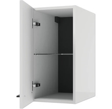 Hängeschrank mit geöffneter Tür, einem Glaseinlegeboden und dunkler Rückwand.