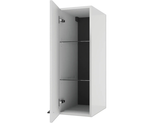 Hängeschrank für das Badezimmer mit geöffneter Tür, zwei Glaseinlegeböden und dunkler Rückwand.