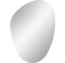 Wandspiegel mit organischer, asymmetrischer Form aus Glas.