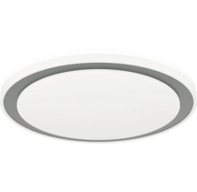 Runde Deckenleuchte mit weißem Diffusor und grauem Innenring.