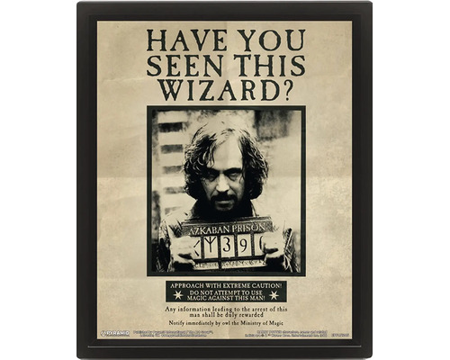 Harry Potter Poster Sirius Black Steckbrief Have You Seen This Wizard im schwarzen Rahmen