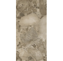 Fliese in Steinoptik mit großflächigem Terrazzo-Muster in Beige und Braun.