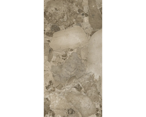 Fliese in Steinoptik mit großflächigem Terrazzo-Muster in Beige und Braun.