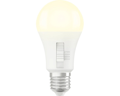 LED-Leuchtmittel mit E27-Sockel und Schiebeschalter zur Einstellung der Farbtemperatur von 2700 bis 6500 Kelvin.