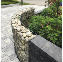 Gebogene Gabione mit Steinfüllung als Gartenbegrenzung neben einer Mauer und Pflanzen auf gepflastertem Untergrund.