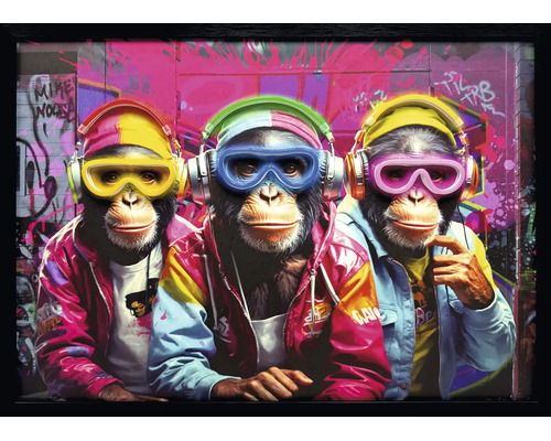 Modernes Wandbild mit drei Schimpansen, die bunte Kopfhörer, Brillen und Jacken tragen, vor einem Graffiti-Hintergrund in schwarzem Rahmen.