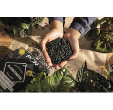 Hände halten eine Handvoll schwarzes, mineralisches Pflanzsubstrat Lechuza Blackstonepon über Zimmerpflanzen und einer Verpackung.