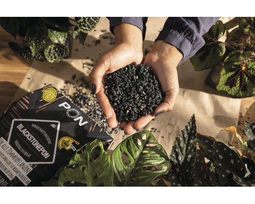 Hände halten eine Handvoll schwarzes, mineralisches Pflanzsubstrat Lechuza Blackstonepon über Zimmerpflanzen und einer Verpackung.