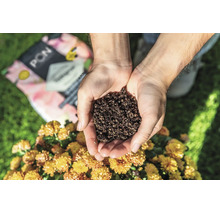 Zwei Hände halten Pflanzsubstrat über Blumen im Freien, im Hintergrund ein Sack Lechuza Pon.