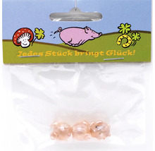 Drei kleine Glücksschweinchen Figuren in einer Kunststoffverpackung mit der Aufschrift Jedes Stück bringt Glück