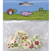 Set von glücksbringenden Dekosteinen mit Symbolen wie Marienkäfern, Kleeblättern und Pilzen in einer Kunststoffverpackung