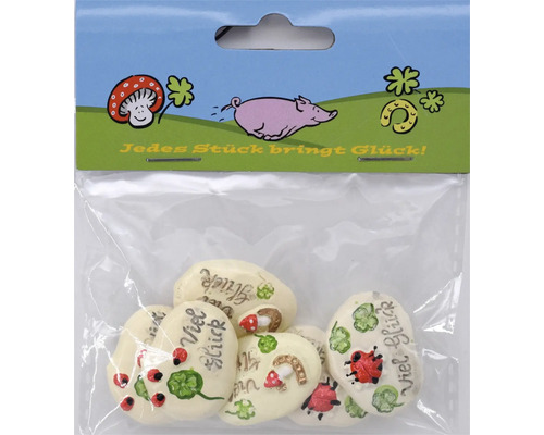 Set von glücksbringenden Dekosteinen mit Symbolen wie Marienkäfern, Kleeblättern und Pilzen in einer Kunststoffverpackung