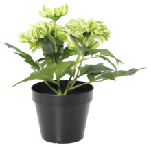 Künstliche Blume Dahlie im schwarzen Kunststofftopf, Kunstpflanze.