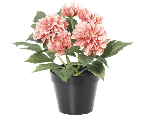 Künstliche Dahlie mit lachsfarbenen Blüten und grünen Blättern in einem schwarzen Kunststofftopf.