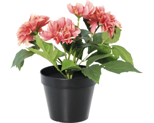 Künstliche Dahlie in einem schwarzen Topf mit lachsfarbenen Blüten und grünen Blättern.
