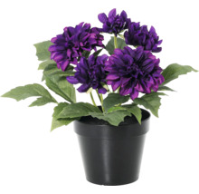 Künstliche Dahlie im schwarzen Topf mit violetten Blüten und grünen Blättern.