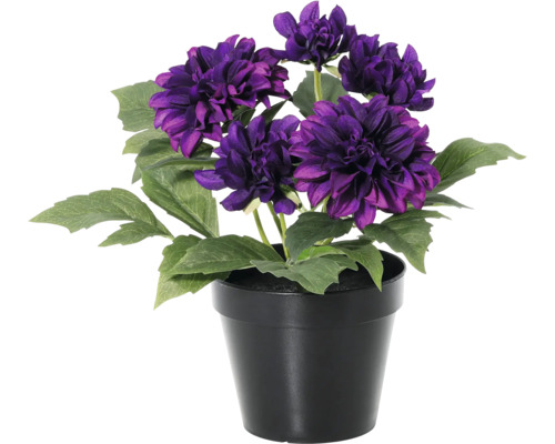 Künstliche Dahlie im schwarzen Topf mit violetten Blüten und grünen Blättern.