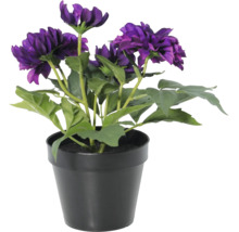 Künstliche Dahlie im schwarzen Kunststofftopf mit violetten Blüten und grünen Blättern für die Innendekoration.