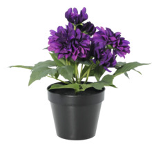 Künstliche Dahlie im schwarzen Kunststofftopf mit violetten Blüten und grünen Blättern.