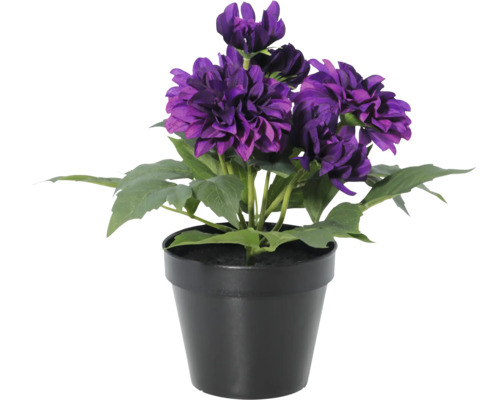 Künstliche Dahlie im schwarzen Kunststofftopf mit violetten Blüten und grünen Blättern.