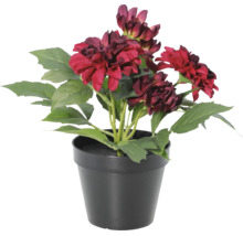 Künstliche Dahlie mit roten Blüten in einem schwarzen Topf.