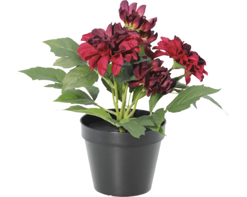 Künstliche Dahlie mit roten Blüten in einem schwarzen Topf.