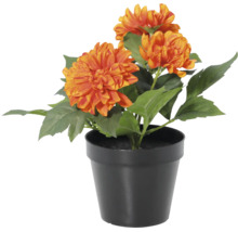 Künstliche Dahlie im schwarzen Kunststofftopf mit orange-gelben Blüten und grünen Blättern.