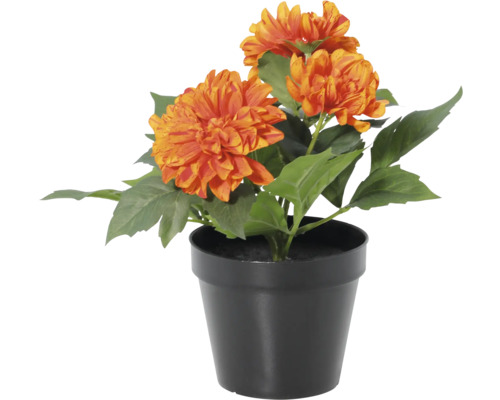 Künstliche Dahlie im schwarzen Kunststofftopf mit orange-gelben Blüten und grünen Blättern.
