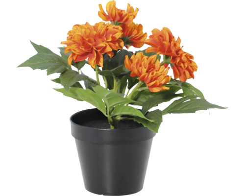 Künstliche Dahlie mit orangefarbenen Blüten und grünen Blättern in einem schwarzen Topf.