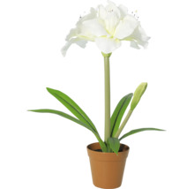 Künstliche Amaryllis mit weißen Blüten und grünen Blättern im Topf.