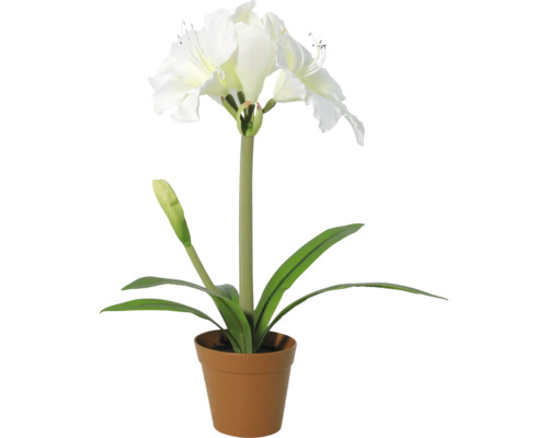 Künstliche Amaryllis mit weißen Blüten im Topf aus Kunststoff.