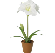 Künstliche Amaryllis im Topf mit einer weißen Blüte, einer Knospe und grünen Blättern.