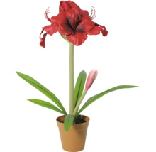 Künstliche Pflanze Amaryllis mit roter Blüte und einer Knospe im braunen Topf.