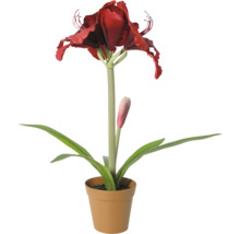 Künstliche Amaryllis im Topf mit roter Blüte und grünen Blättern.