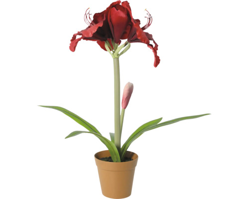Künstliche Amaryllis im Topf mit roter Blüte und grünen Blättern.