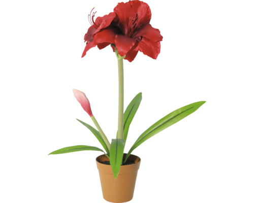 Künstliche Amaryllis im Topf mit roter Blüte, Knospe und grünen Blättern.